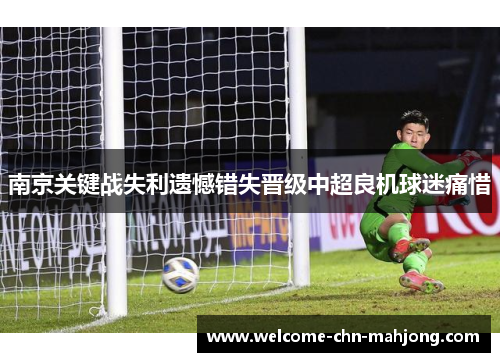 南京关键战失利遗憾错失晋级中超良机球迷痛惜 南京关键战失利遗憾错失晋级中超良机球迷痛惜